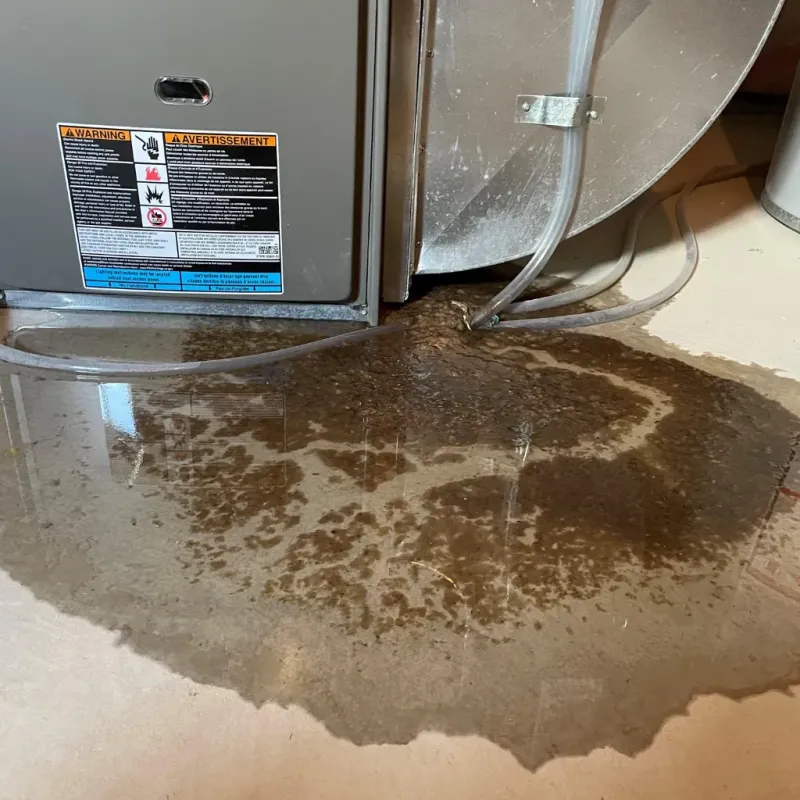 Appliance Leak Cleanup in Glen Raven, NC